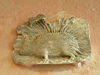 Blois, Chateau, Porc Epic, Symbole de Louis XII